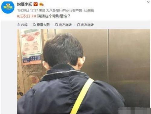 卓伟最新爆料何炅张一山,卓伟最新爆料揭示娱乐圈不为人知的一面